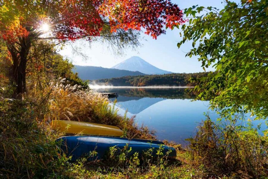 Tokyo:Customizable Private Day Trip to Mt.Fuji & Safari Park - Gotemba Premium Outlets or Numazu Port: using the detour wisely