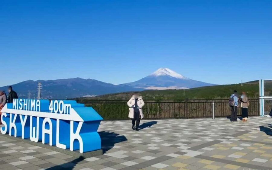 Tokyo:Customizable Private Day Trip to Mt.Fuji & Safari Park - Getting picked up in Tokyo: timing, neighborhoods, and patience