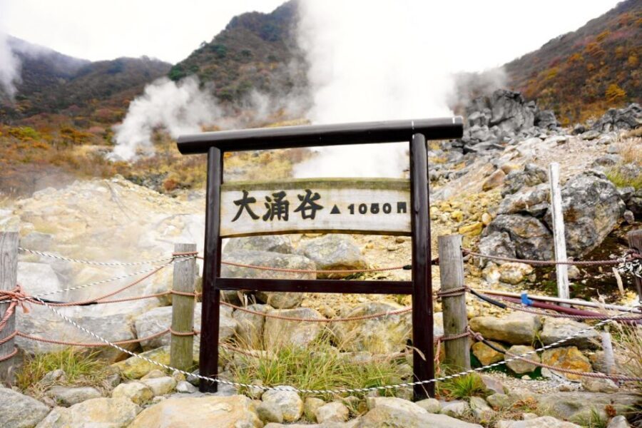 tokyo:Hakone Owakudani & Gotemba Premium Outlet 1d Tour - FAQ