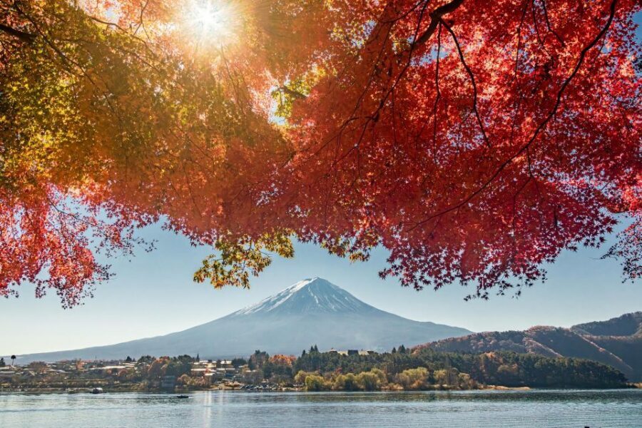tokyo:Hakone Owakudani & Gotemba Premium Outlet 1d Tour - Group size, guide language, and the reality of a shared day