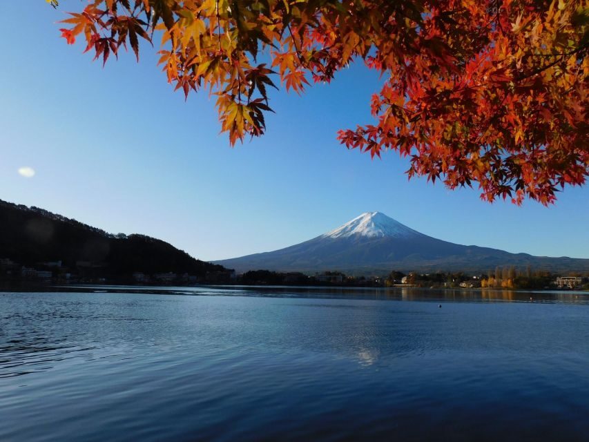 tokyo:Hakone Owakudani & Gotemba Premium Outlet 1d Tour - Should you book the Tokyo: Hakone Owakudani & Gotemba Premium Outlet tour?