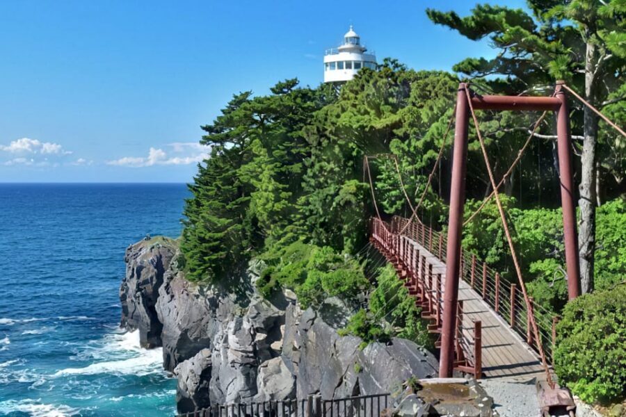 Tokyo:Izu Penisula Train Mt Omuro, Capybara Sightseeing Trip - Communication and On-Time Expectations: The Part That Can Make or Break Your Day