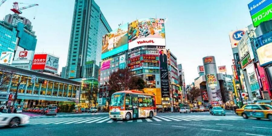 Tokyo:Luxury Private Tour with English-Speaking driver - Imperial Palace East Gardens: quiet grounds and a street-food style break