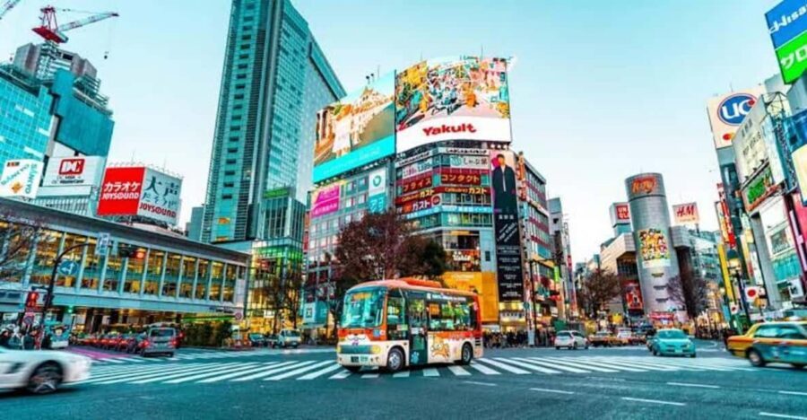 Tokyo:Luxury Private Tour with English-Speaking driver - Tokyo Skytree Tembo Deck: tea ceremony + skyline, with tickets extra