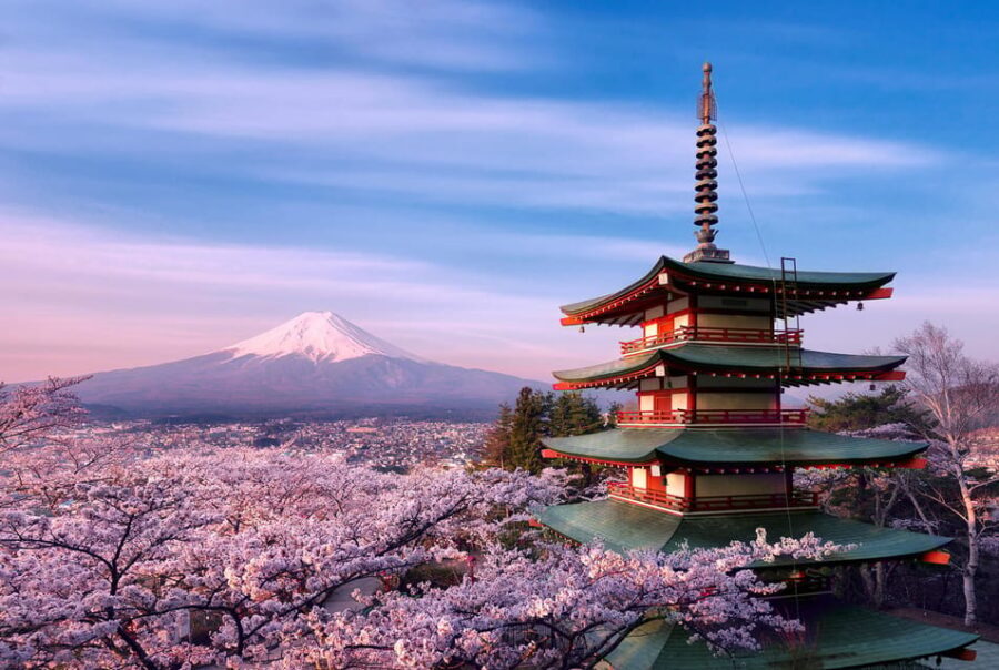 Tokyo:Mt Fuji & Hakone Day Tour with English Speaking Driver - A Private Fuji and Hakone Day That Feels Built for Real Time
