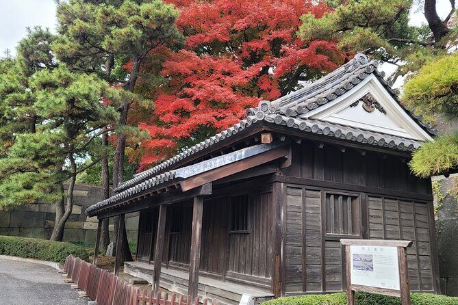 Tokyo's Imperial Palace & Nihonbashi Tour - Knife shopping at Kiya Nihombashi: how a craft store works as cultural education