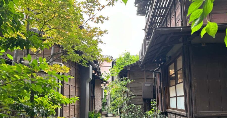 Tokyo:Stroll in Old traditional culture towns~Yanaka & Nezu - Entering Old Tokyo: The Yanaka Neighborhood Mood