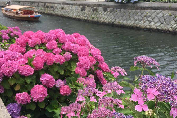 Tour around Matsue Horikawa - Hop-On Hop-Off at Three Piers: Plan Less, See More