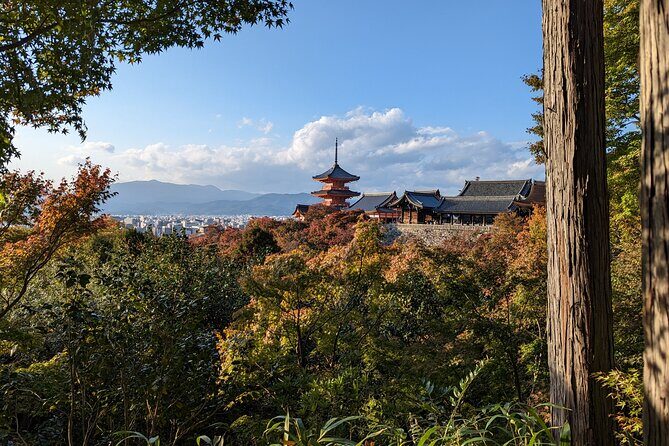 Tour in Kyoto with a Goverment Certified Tour Guide - Getting picked up (and why meeting details matter more than you think)