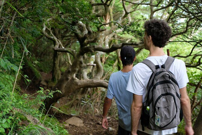 Traverse Outer Rim of Hakone Caldera and Enjoy Onsen Hiking Tour - Descending to Sengokuhara and the quick reset