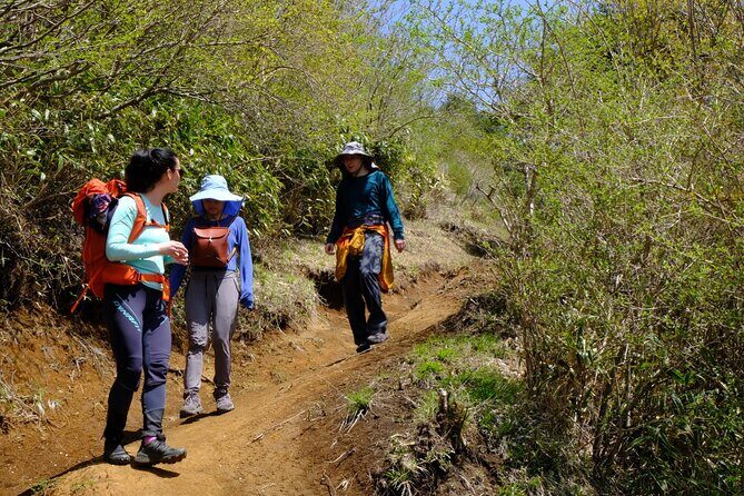 Traverse Outer Rim of Hakone Caldera and Enjoy Onsen Hiking Tour - Onsen recovery with indoor and outdoor baths
