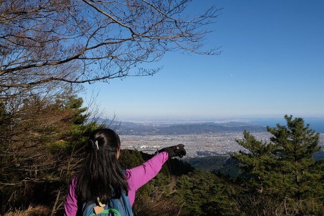 Traverse Outer Rim of Hakone Caldera and Enjoy Onsen Hiking Tour - Price and value: what $158.13 really buys