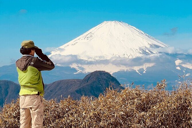 Traverse Outer Rim of Hakone Caldera and Enjoy Onsen Hiking Tour - The steep climb to the top: your 90 minutes of effort
