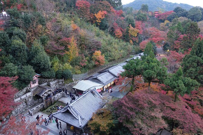 TREASURES of Kyoto: Fushimi Inari, Kiyomizu Temple, and more! - Price and Value: Does $98.53 for 4 Hours Make Sense?