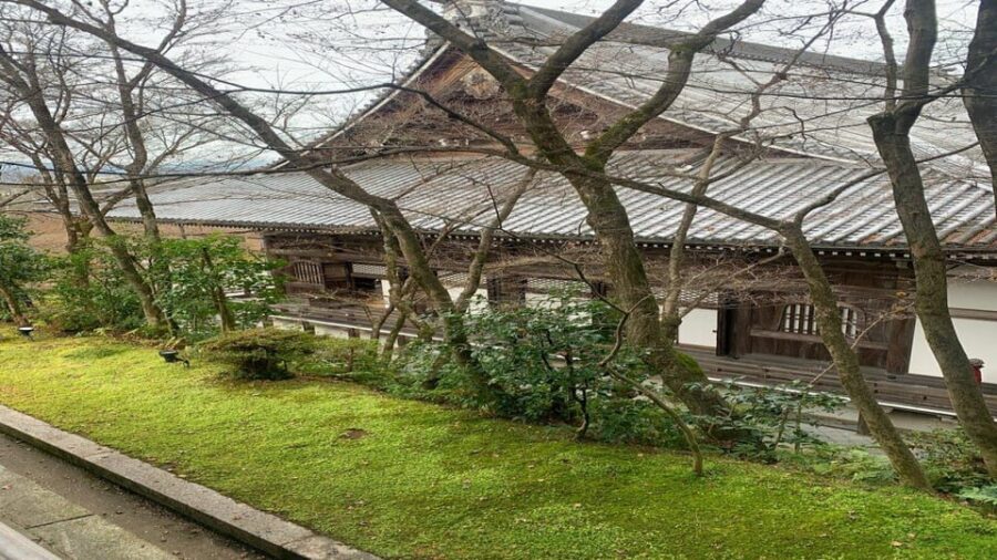 Treasures of Kyoto: Gion & historical Walking Tour - Nene-no-michi: a lane that teaches you how Gion “works”