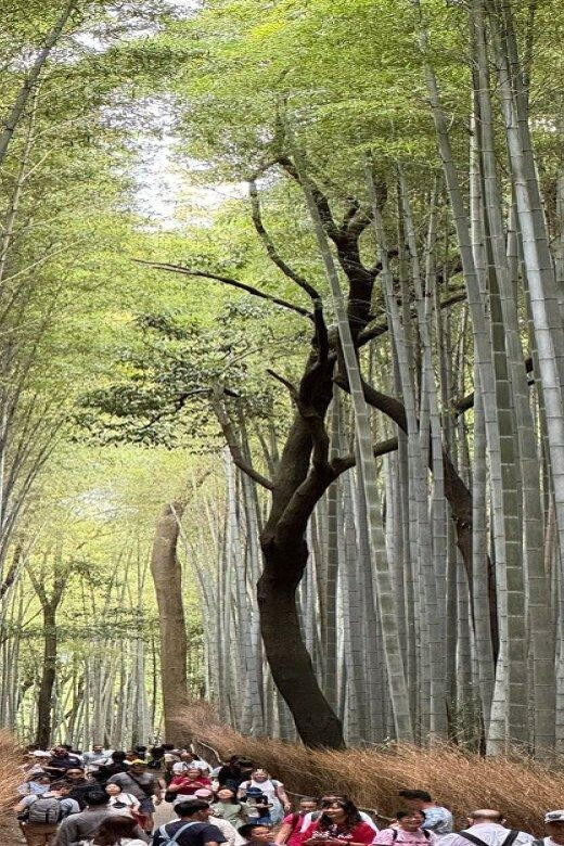 Treasures of Kyoto: Gion & historical Walking Tour - Hanamikoji Street: the signature Gion lane (and what to do with your attention)