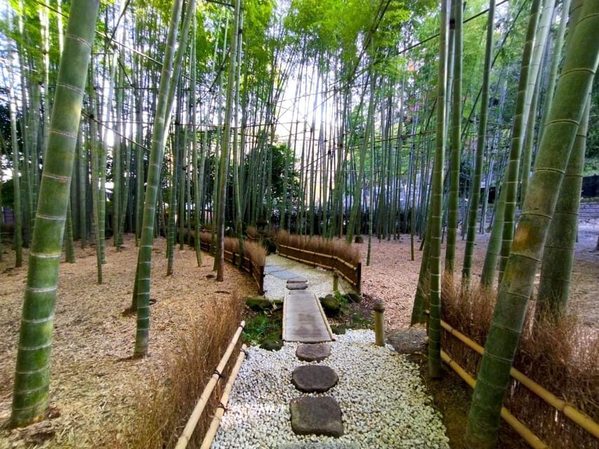 Trip to Kamakura & Enoshima: Shrines, Seaside, Temples &Tea - Key highlights you’ll actually remember