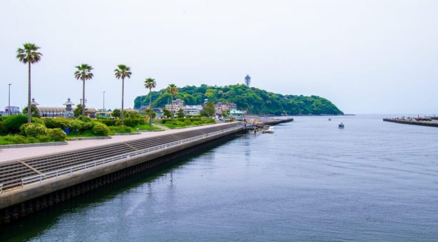 Trip to Kamakura & Enoshima: Shrines, Seaside, Temples &Tea - Walking Levels, Weather Reality, and What to Bring