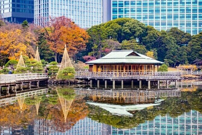 Tsukiji Food Strolling and Hama Rikyu Garden Walking Tour - Price and value: what $32.32 covers (and what it doesn’t)