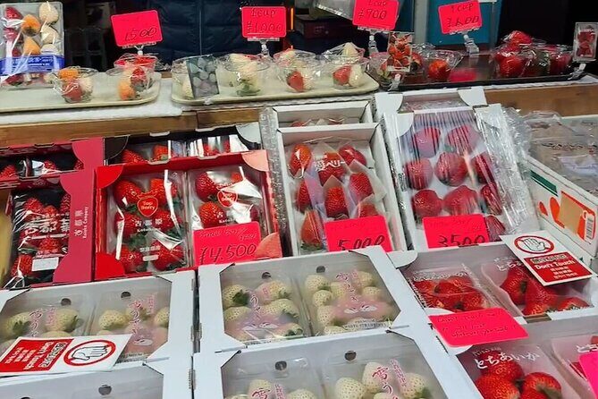 Tsukiji Food Strolling and Hama Rikyu Garden Walking Tour - Tsukiji Jogai Market: seeing the wholesale world the right way