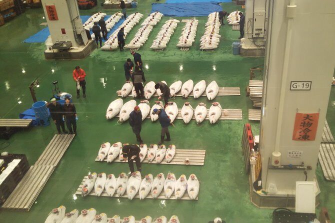 Tuna auction at Toyosu Market with qualified guide and early morning tour of Tsukiji Outer Market - Stop 2 at Tsukiji Jogai: tastings and foodie shopping without the auction pressure