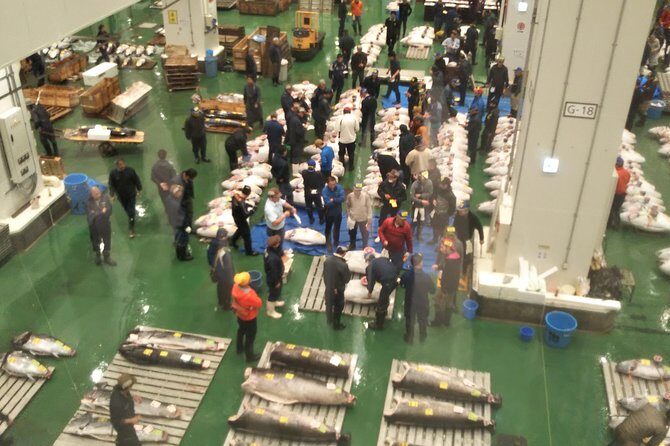 Tuna auction at Toyosu Market with qualified guide and early morning tour of Tsukiji Outer Market - The guide role: why Nobu-style context matters