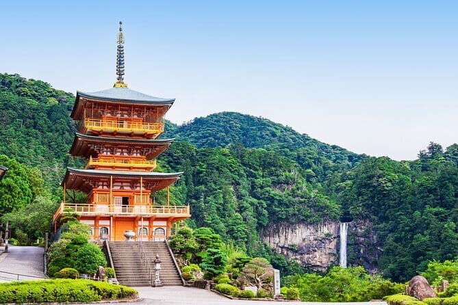 Tuna Auction Market Guided Private Tour in Nachi-Katsuura - Long-Line Fishing and Fresh, Never Frozen: Why It Matters to You