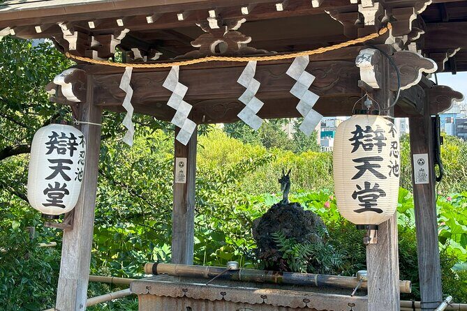 Ueno Park and Ameyoko Street Food Market Half Day Walking Tour - Price and value: is $45 a smart spend?