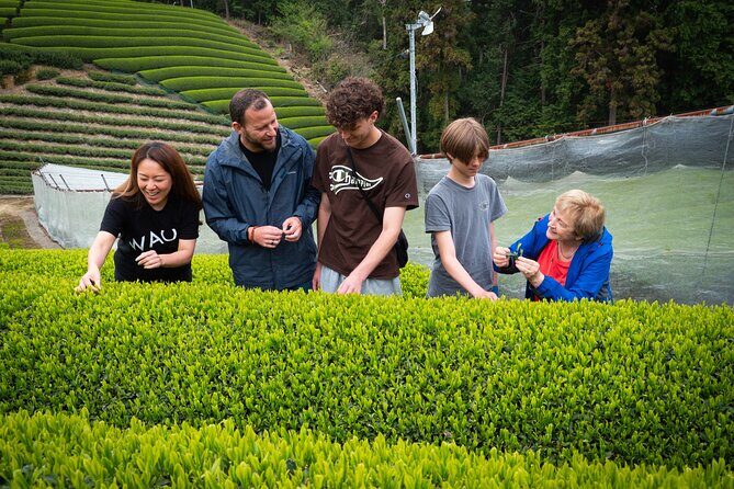 Uji and Wazuka Matcha Farm Half Day Private Guided Tour - Uji River Start: bridges, shrine stops, and easy tea-town strolling