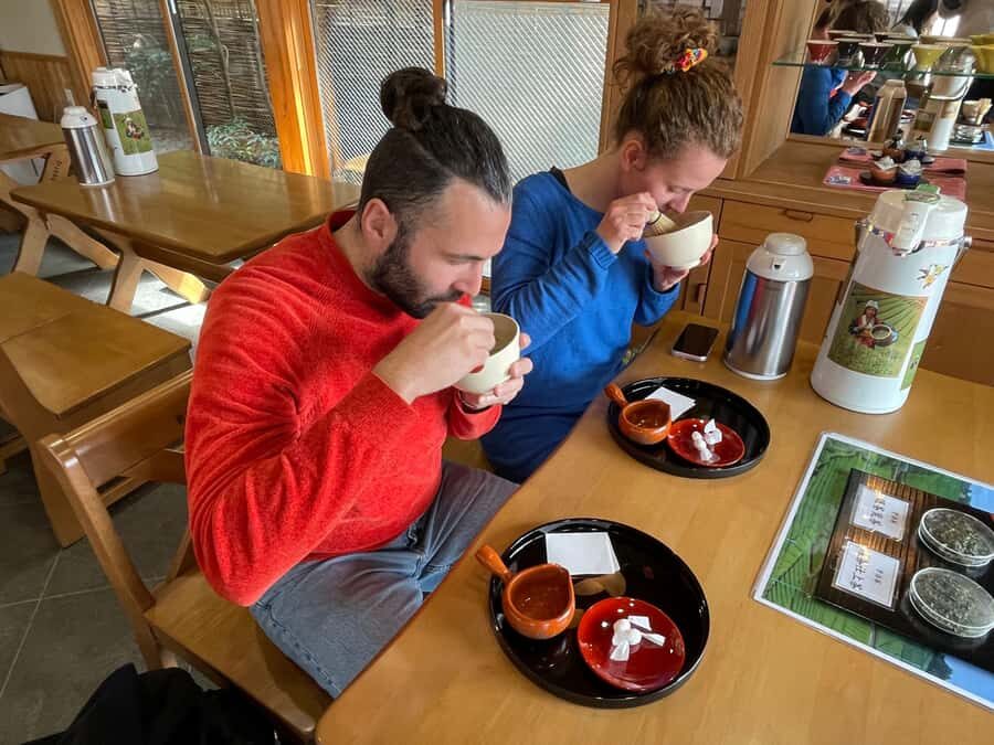 Uji: Green Tea Tour with Byodoin and Koshoji Temple Visits - Key points to know before you go