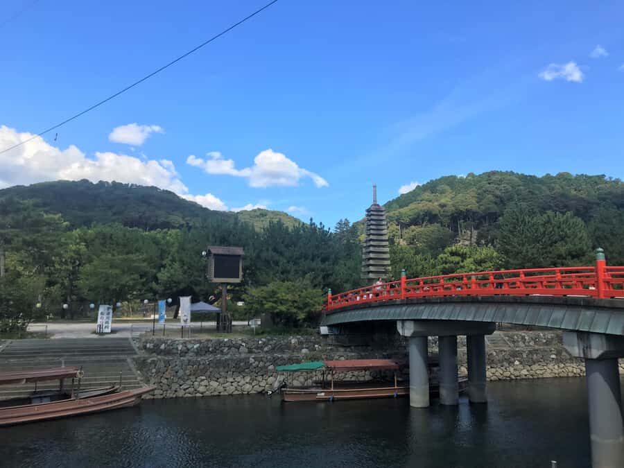 Uji: Green Tea Tour with Byodoin and Koshoji Temple Visits - Price and value: is $111 fair for tea plus UNESCO temples?