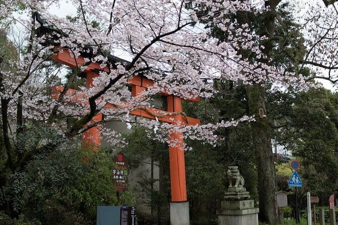 Uji Tea Ceremony and UNESCO Heritage Walking Tour - Uji Shrine and Ujigami Shrine: the quiet meaning behind the route