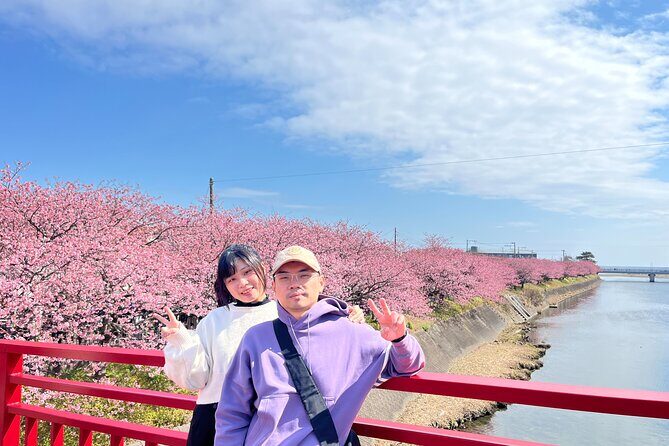 Ultimate View Izu Car Tour with Hotel Pickup and Local Guide - Shirahama Jinja Shrine: The Red Torii by the Sea