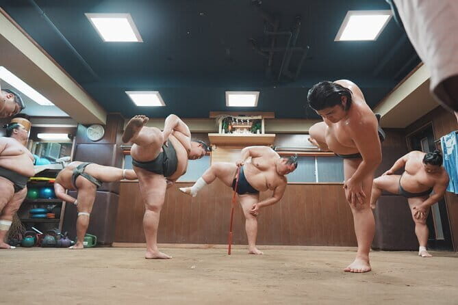 Unique Afternoon Live Sumo training tour in Tokyo - Key highlights worth your attention