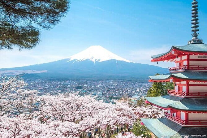 Unique Afternoon Live Sumo training tour in Tokyo - Free Wi-Fi and Charging: Small Comforts That Help Your Whole Day