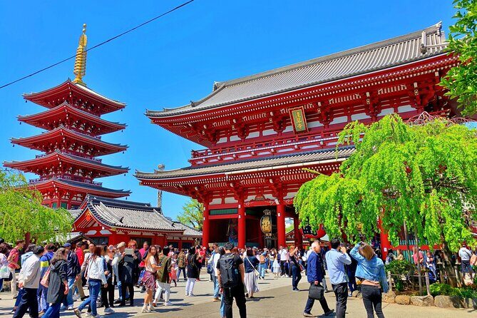 Unlock Hidden Tokyo: Private Custom Tour with a Local guide - Price and What You’re Actually Buying in 5 Hours