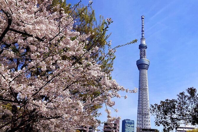 Unlock Hidden Tokyo: Private Custom Tour with a Local guide - Shibuya Crossing: Tokyo’s Most Famous Crowd Scene