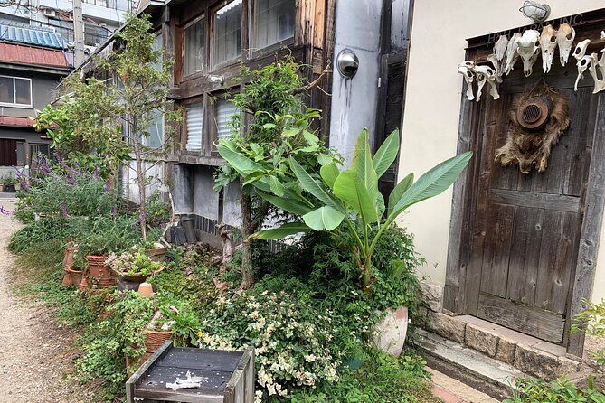 Urban Canvas: Osaka Street Art Bike Tour - About your guide (and why it affects what you see)