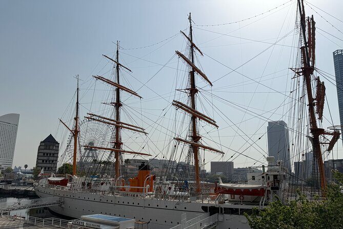 Variety of Tokyo or Yokohama Tours Customizable and Memorable - How customization actually helps (instead of just sounding nice)