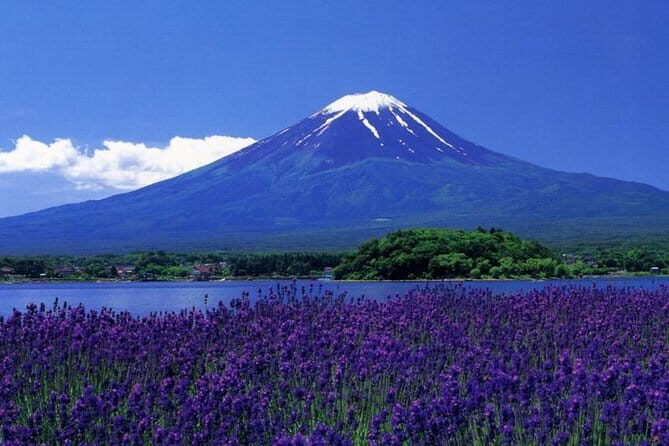 View of Mt. Fuji is good! Sushi making experience class - Finding the Classroom by Kawaguchiko Station (and Building a Good Day)