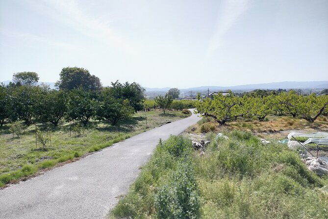 Village to village walk: Japan's oldest road, Yamanobe ancient trail (Private) - Price and value: what $98.10 per person really buys