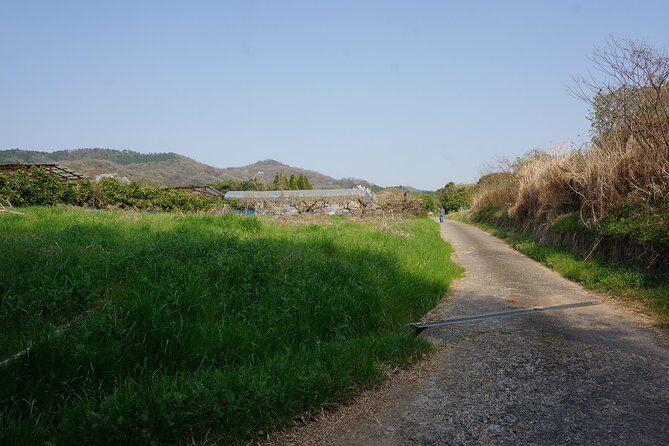 Village to village walk: Japan's oldest road, Yamanobe ancient trail (Private) - Getting your bearings: Kintetsu-Nara start and Naramachi’s old-capital flavor