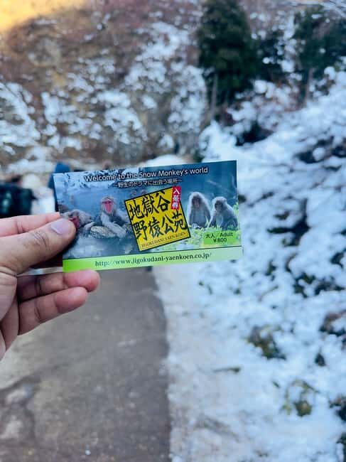 VIP Snow Monkey Park & Zenkoji Temple One Day Private Tour - Key things to know before you go