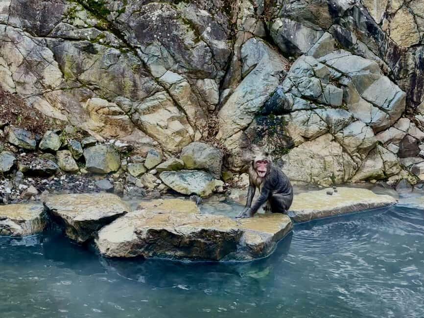 VIP Snow Monkey Park & Zenkoji Temple One Day Private Tour - Should you book this VIP Snow Monkey Park & Zenko-ji day?