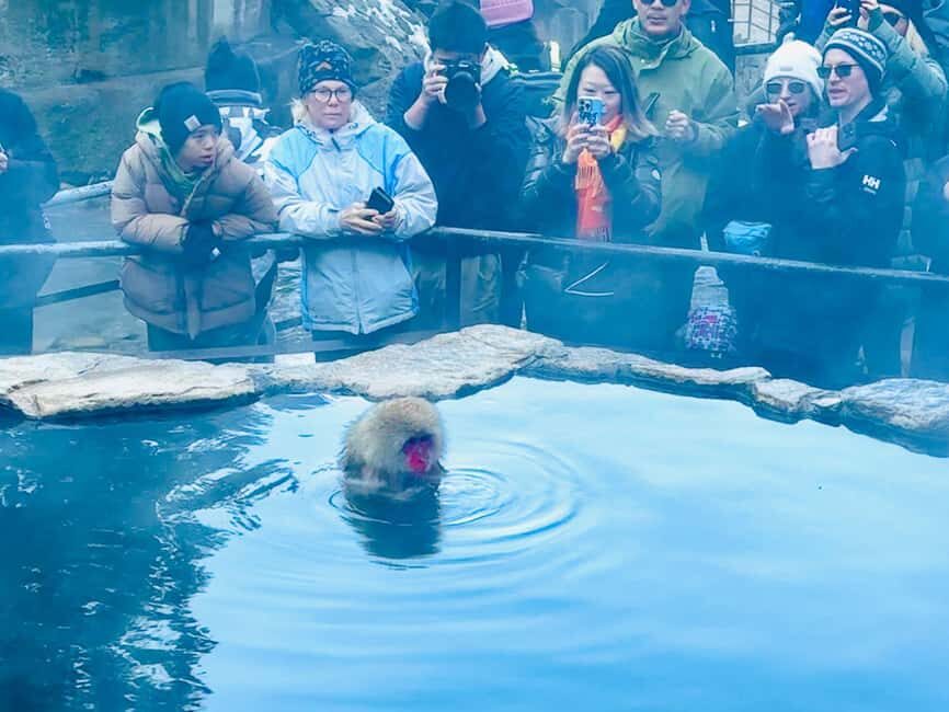 VIP Snow Monkey Park & Zenkoji Temple One Day Private Tour - Hakuba Goryu Snow Resort: snow time with a scheduled class block