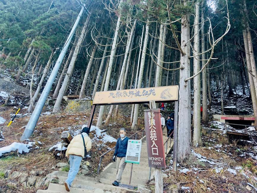 VIP Snow Monkey Park & Zenkoji Temple One Day Private Tour - Who this tour suits best (and who should rethink it)