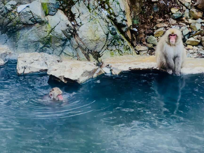 VIP Snow Monkey Park & Zenkoji Temple One Day Private Tour - Small service details that make a difference