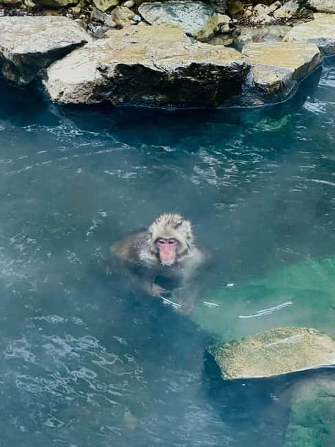 VIP Snow Monkey Park & Zenkoji Temple One Day Private Tour - Zenko-ji Temple in Nagano: a centuries-old image you never see