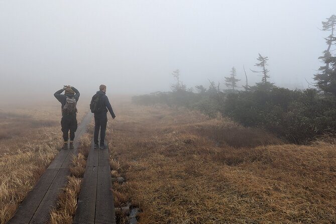 Volcanic Wonders & Scenic Trails - Goshogake Onsen lunch and the Tamagawa steaming-trail stroll