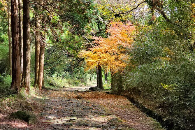 Walking through the Aso Caldera, Historical Walk along the "Bungo Kaido" - Entering the Caldera: Volcano, Belief, and the Sleeping Buddha Stories